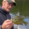 Very pretty sunfish