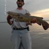 This big Flathead Cat was caught the artificial-angler way....on a crankbait!