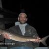 34" STURGEON