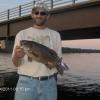 A true slab...18.5 inch smallmouth!