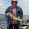 Nice Lake Winni walleye