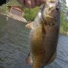 Lake Vermillion smallmouth.....fishing solo